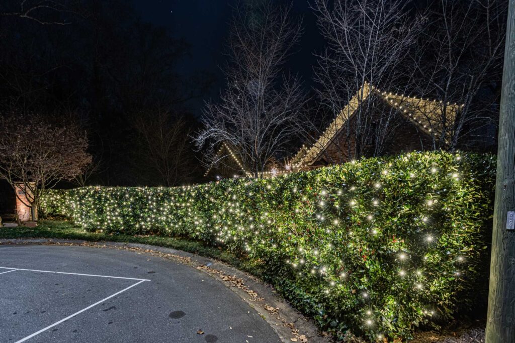 Duluth Christmas light installer hedge and landscape lighting